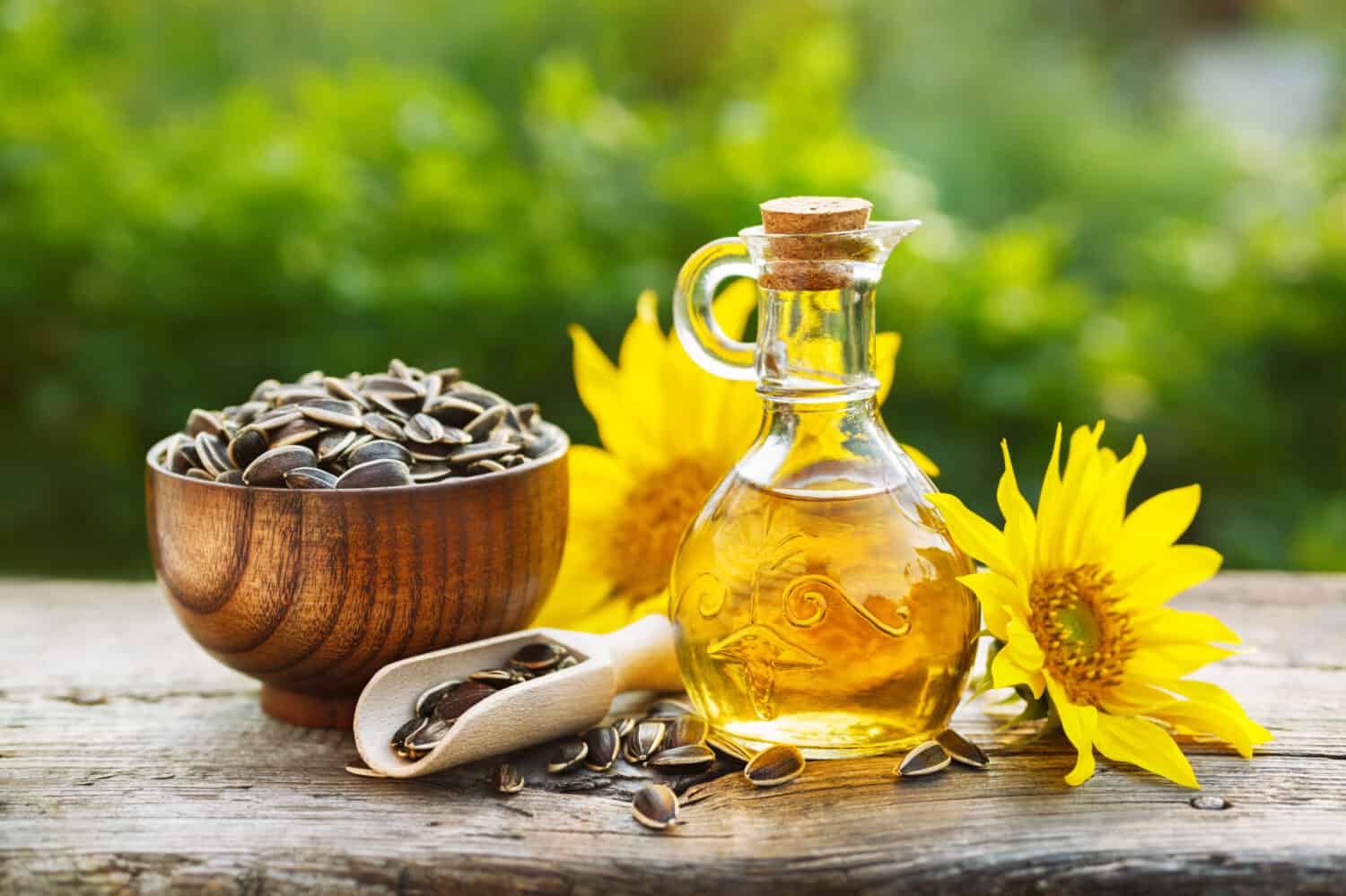 روغن آفتابگردان خام