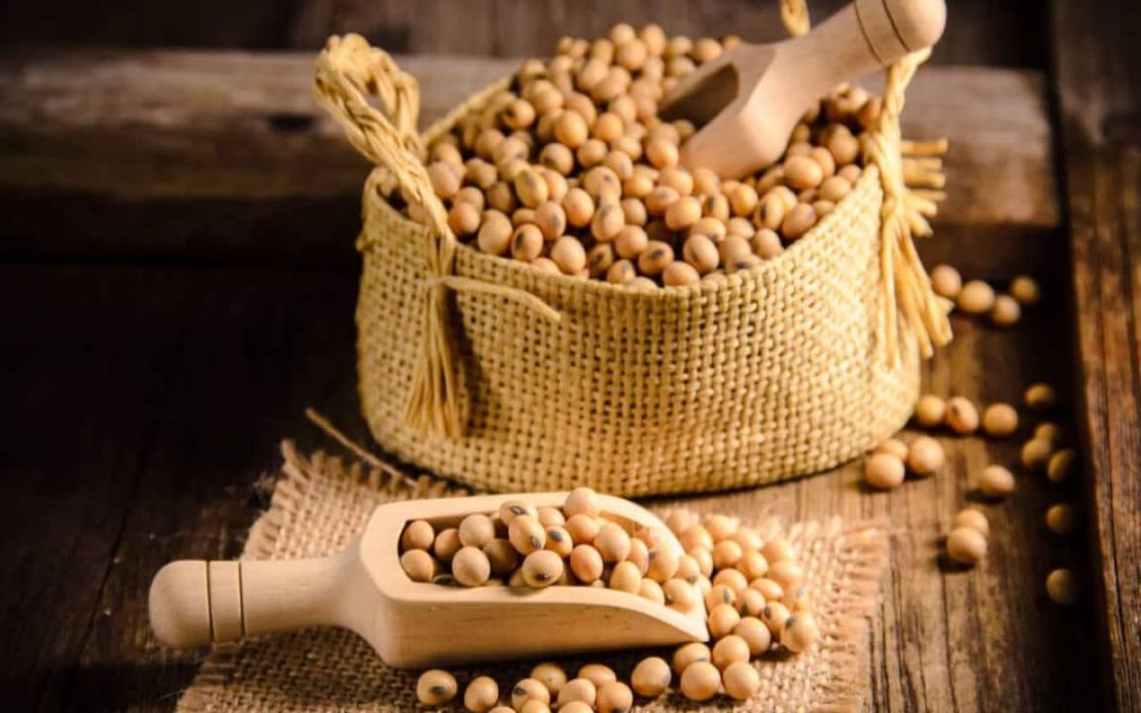 ارزش غذایی روغن سویا