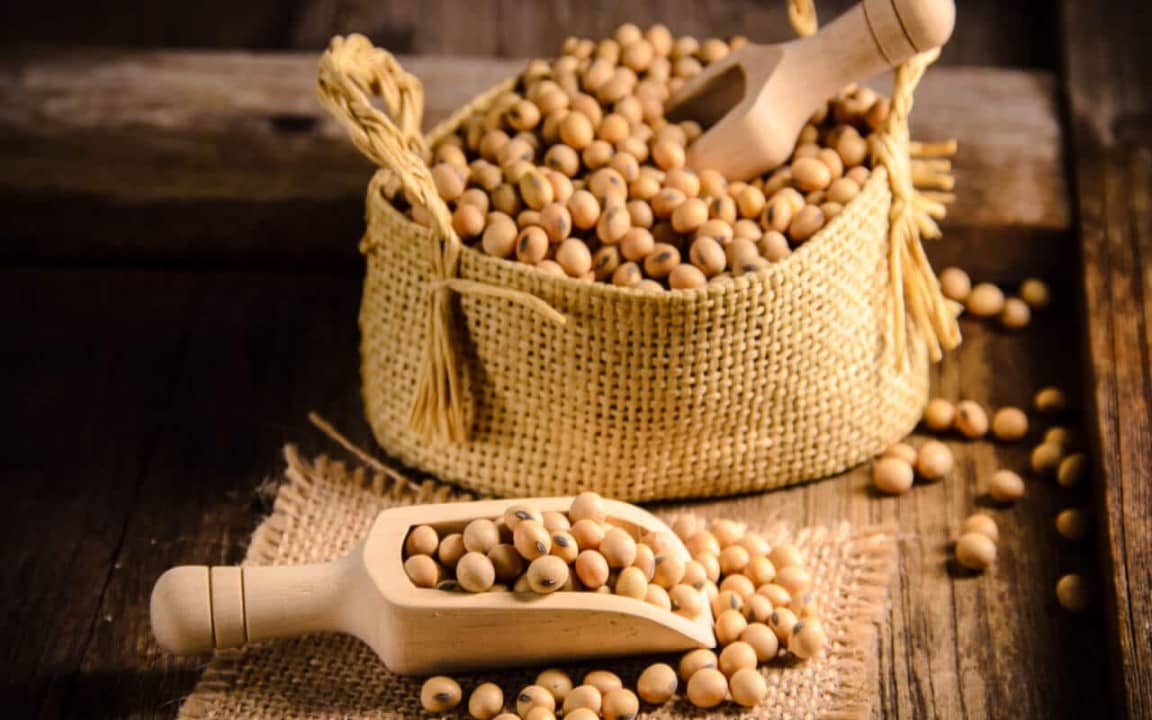 ارزش غذایی روغن سویا