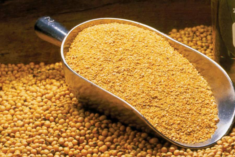 استاندارد روغن سویا